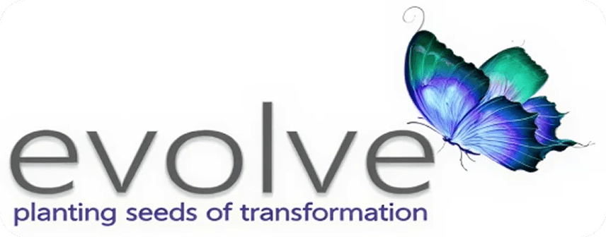 Logo featuring a colorful butterfly with the text about transformation solutions.